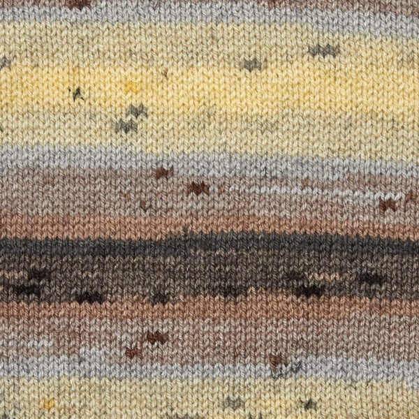 Premier Yarns Colorfusion DK 1196-14 Morning Coffee Acrylic